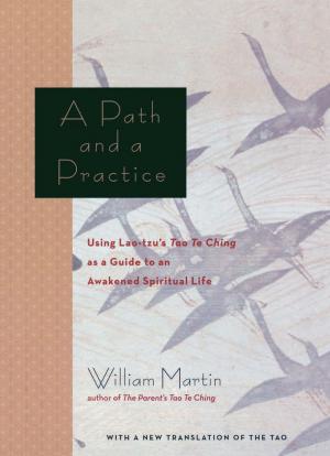 Cover of the book A Path and a Practice by Cassandra King
