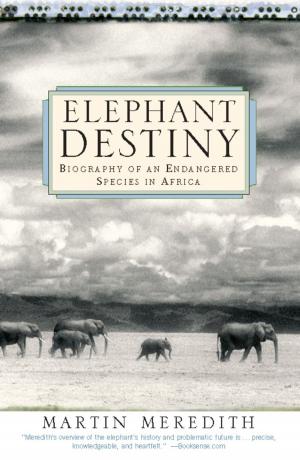 Cover of the book Elephant Destiny by Carter Cast