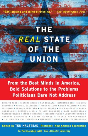 Cover of the book The Real State Of The Union by William G. Howell, Terry M. Moe
