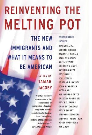 Cover of the book Reinventing the Melting Pot by Heather Cox Richardson