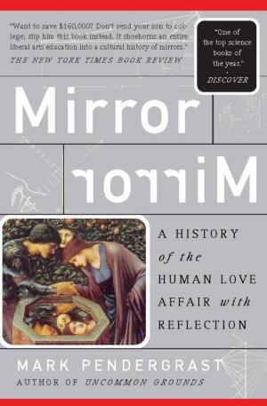 Cover of the book Mirror, Mirror by Dinesh D'Souza
