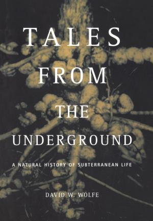 Cover of the book Tales From The Underground by Rosie Molinary
