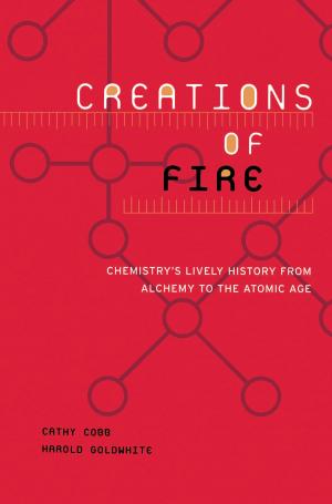 Cover of the book Creations Of Fire by Akhil Reed Amar