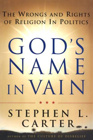 Cover of the book God's Name In Vain by Jamye Waxman