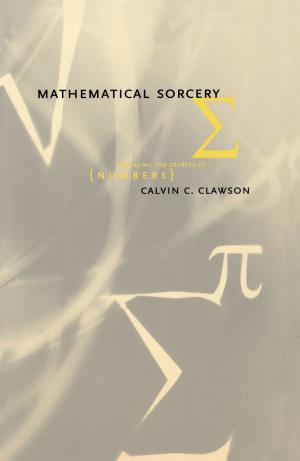 bigCover of the book Mathematical Sorcery by 