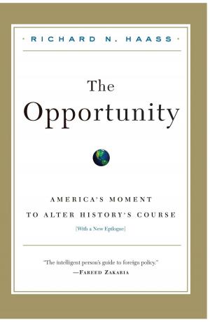 Cover of the book The Opportunity by Joel L. Fleishman