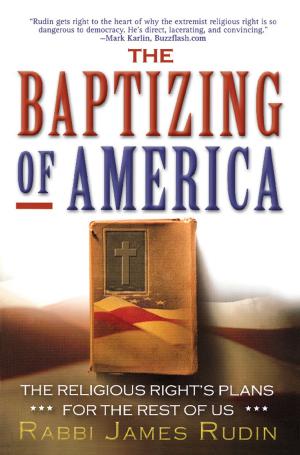 Cover of the book The Baptizing of America by Ann Hornaday