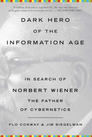 Cover of the book Dark Hero of the Information Age by Nicole Johns