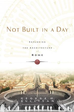 Cover of the book Not Built in a Day by Michelle Schoffro Cook