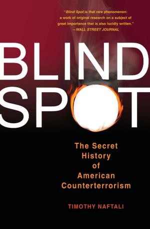 Cover of the book Blind Spot by Zeeya Merali