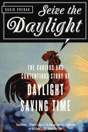 Cover of the book Seize the Daylight by Thomas Blasejewicz