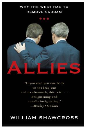 Cover of the book Allies by Robert Darnton