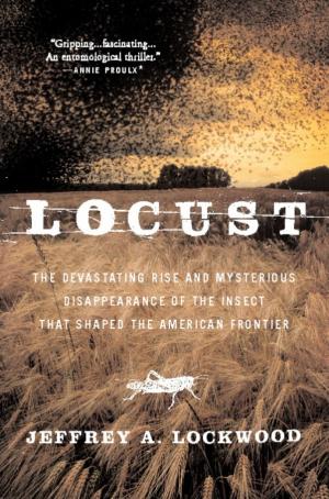 Cover of the book Locust by Matt Wilkinson