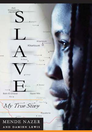 Cover of the book Slave by Robin Chase
