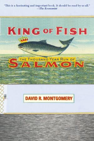 Cover of the book King of Fish by Daniel N. Stern