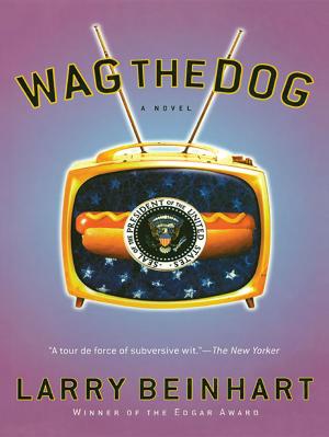 Cover of the book Wag the Dog by Robert Scheer