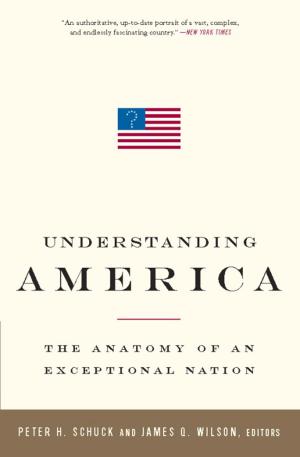 Cover of the book Understanding America by Serge Michel, Michel Beuret