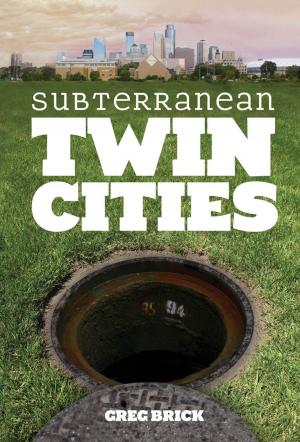 Book cover of Subterranean Twin Cities