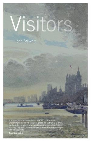 Cover of the book Visitors by John Butler