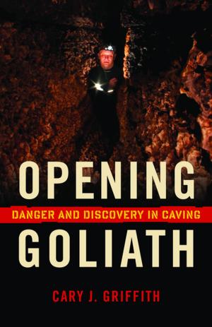 Cover of the book Opening Goliath by Will Weaver