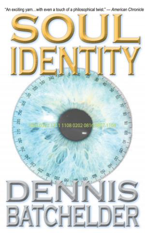 Cover of the book Soul Identity by Matthew J. Pallamary