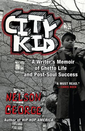 Book cover of City Kid