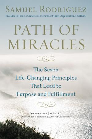 Cover of the book Path of Miracles by Larry Shepard