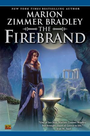 Cover of the book The Firebrand by Matt Karlov
