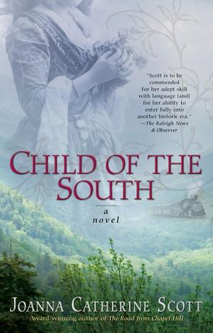 Cover of the book Child of the South by Jenn McKinlay