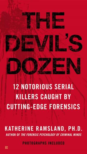 Cover of the book The Devil's Dozen by Mary Gordon