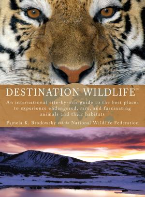 Book cover of Destination Wildlife