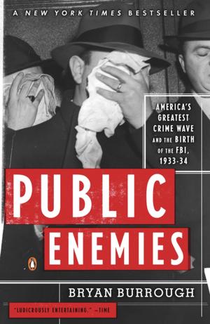 Cover of the book Public Enemies by Dawn Halliday