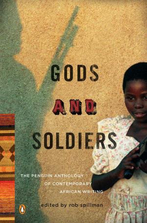 Cover of the book Gods and Soldiers by Allison Morgan