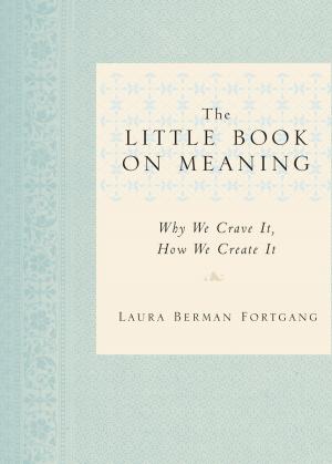 Cover of the book The Little Book on Meaning by Benjamin Franklin