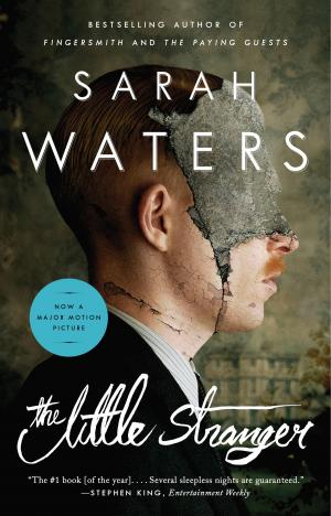 Cover of the book The Little Stranger by Jessica Hawkins