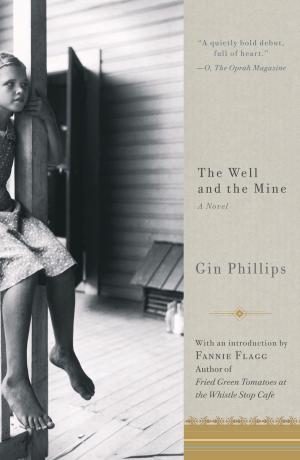 Cover of the book The Well and the Mine by Robert Greenberg