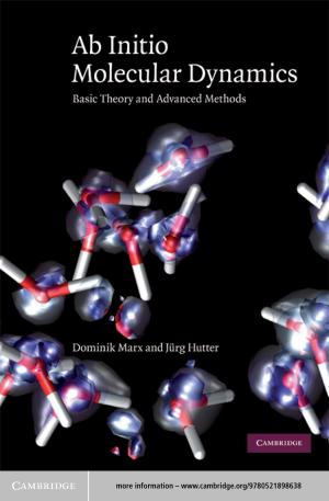 Cover of the book Ab Initio Molecular Dynamics by Elizabeth Buettner