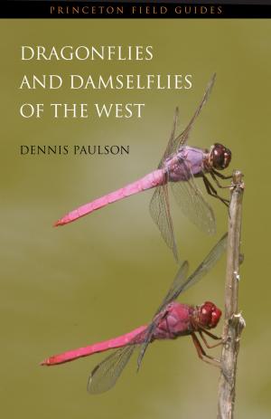 Cover of the book Dragonflies and Damselflies of the West by Robert M. Adams