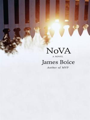 Cover of the book NoVA by David Lehman, Major Jackson