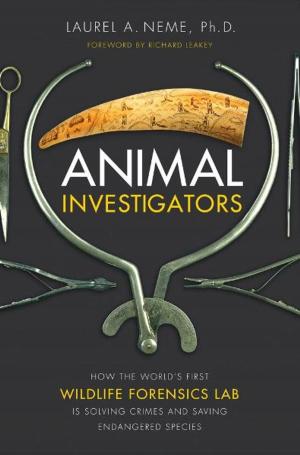 Cover of the book Animal Investigators by William Butler Yeats