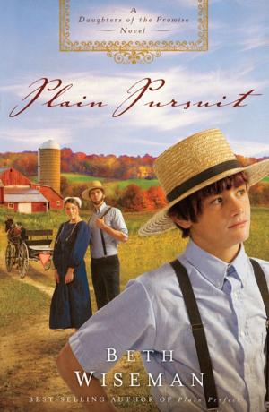 Cover of the book Plain Pursuit by Barbara Johnson