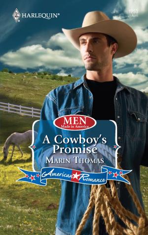 Cover of the book A Cowboy's Promise by Angie Daniels