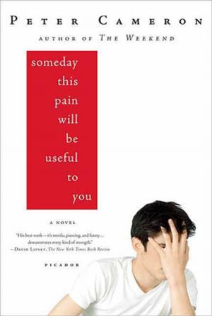 Book cover of Someday This Pain Will Be Useful to You