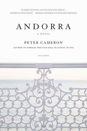 Cover of the book Andorra by Warren Ellis