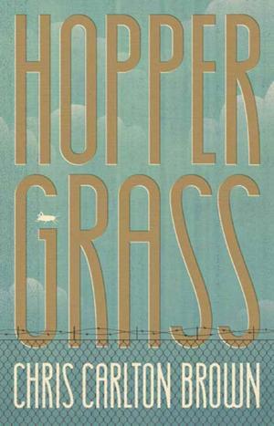 Cover of the book Hoppergrass by Tracy Barrett