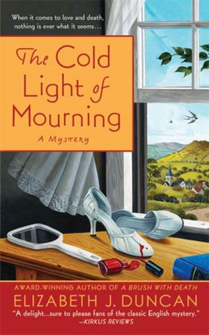 Book cover of The Cold Light of Mourning
