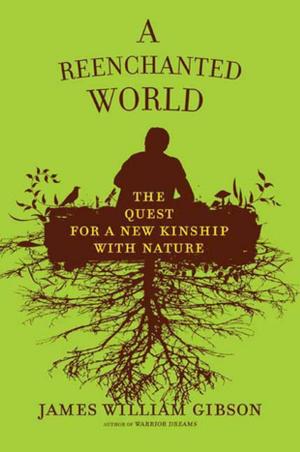 Cover of the book A Reenchanted World by Guy Saville