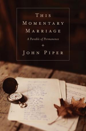 bigCover of the book This Momentary Marriage: A Parable of Permanence by 