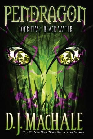 Cover of the book Black Water by Franklin W. Dixon