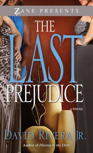 Cover of the book The Last Prejudice by Suzetta Perkins